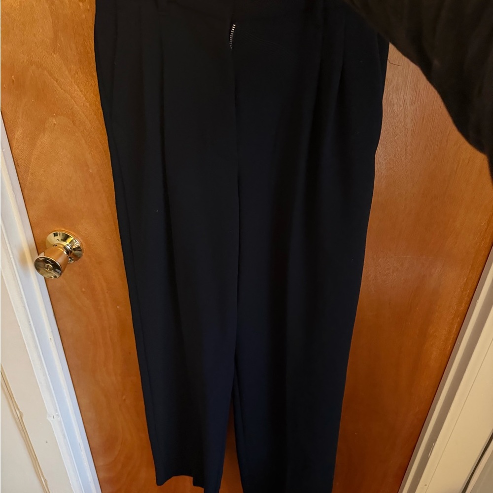 Aritzia Wilfred “Effortless Pant”